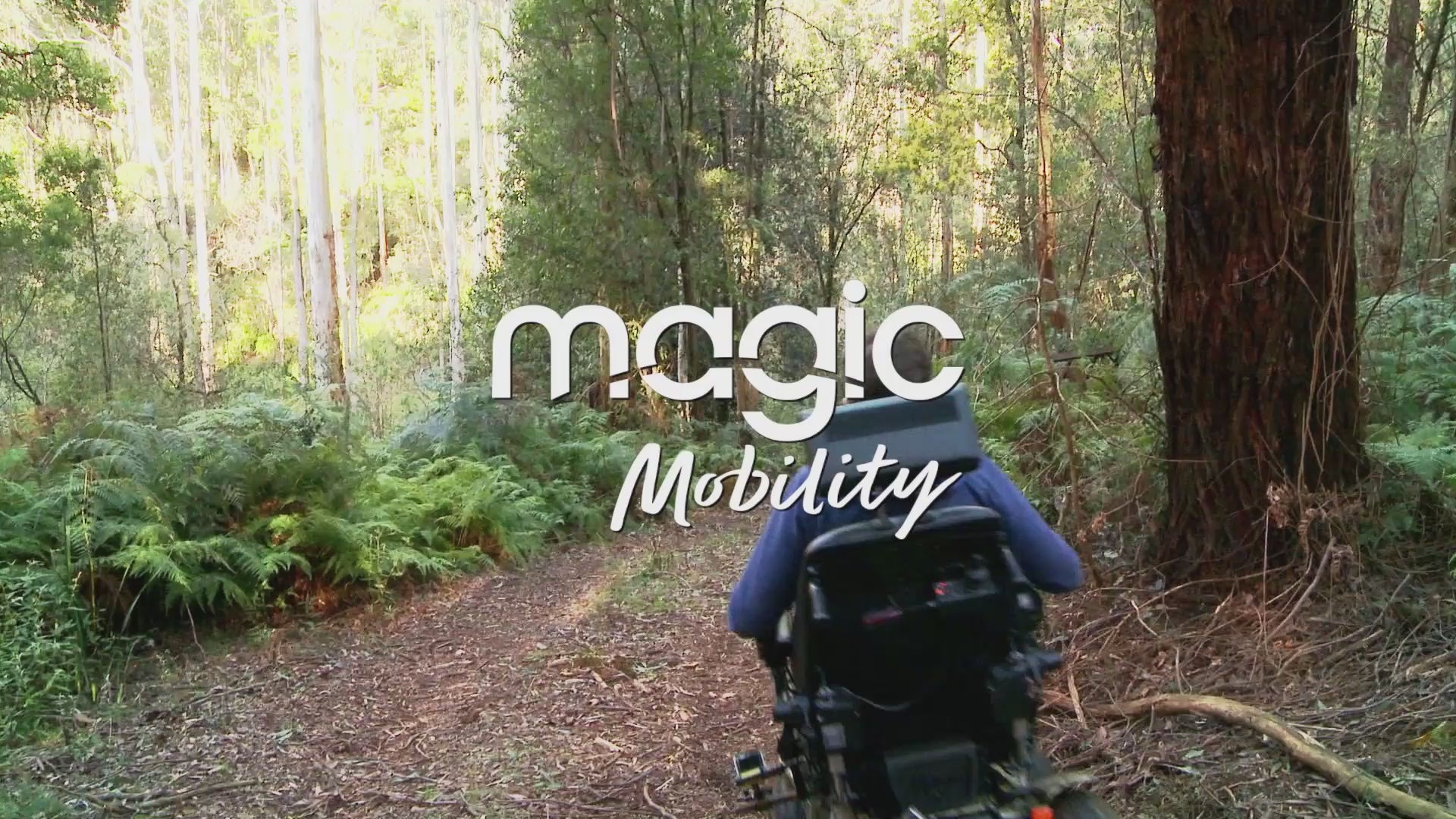 Motus - Extreme X8 all terrain power chair in a forest
